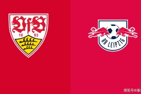 金州勇士迎德甲关键赛，今夜调整名单，目标明确，细节决定成败的简单介绍